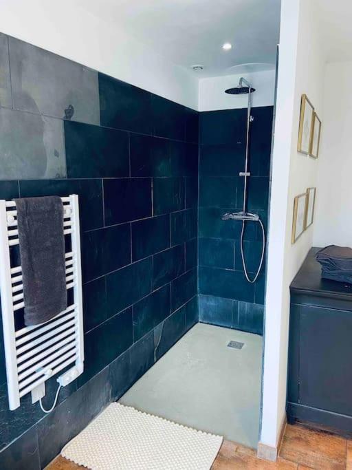 Maison Climatisee Avec Stationnement Et Wifi Bram エクステリア 写真